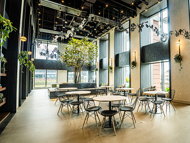 Social Lounge Seating